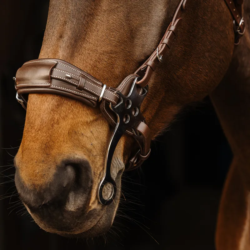 Norton Pro Hackamore Bridle - Havana-1