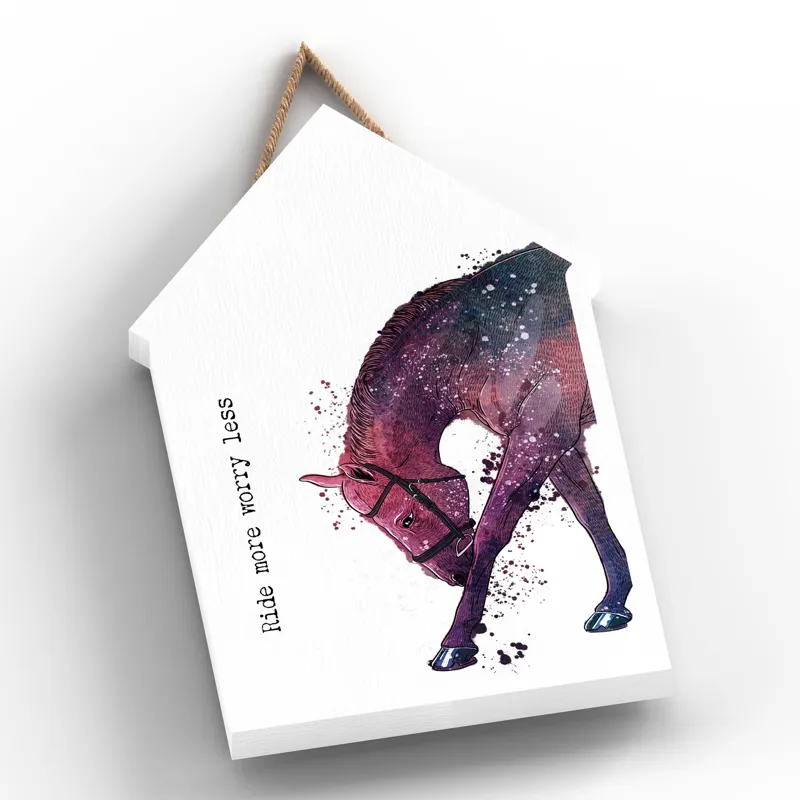 Vivid Squid Large Beach Hut Plaque - Ride More