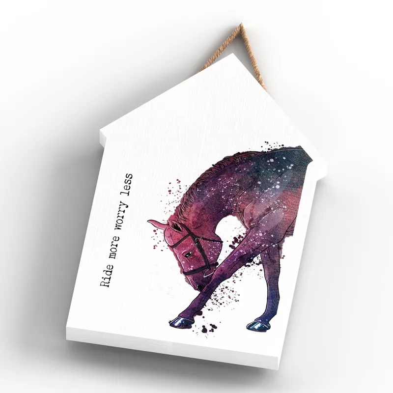 Vivid Squid Large Beach Hut Plaque - Ride More-3