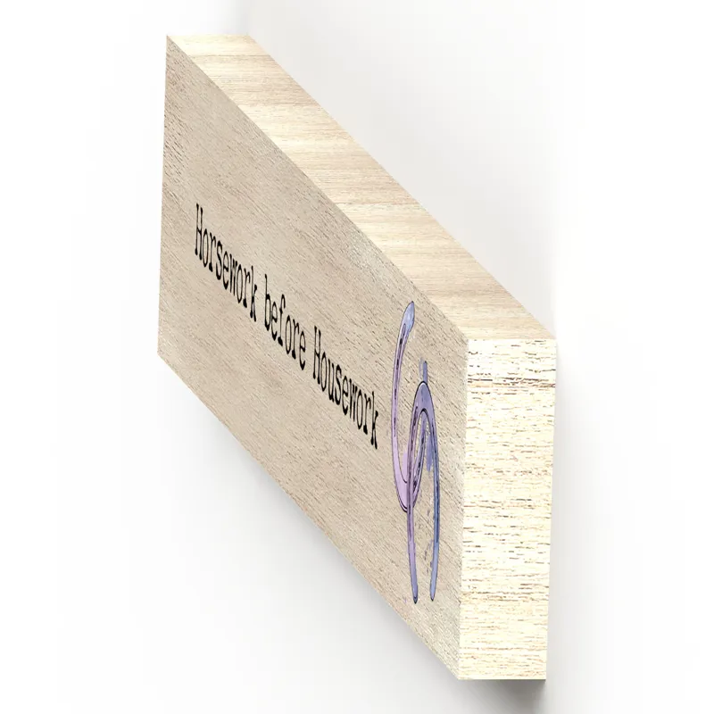 Vivid Squid Momento Block - Horsework Before Housework-2