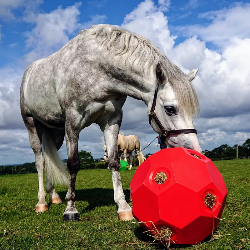Parallax Hay Play Ball Feeder - Red-1