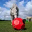 Parallax Hay Play Ball Feeder - Red