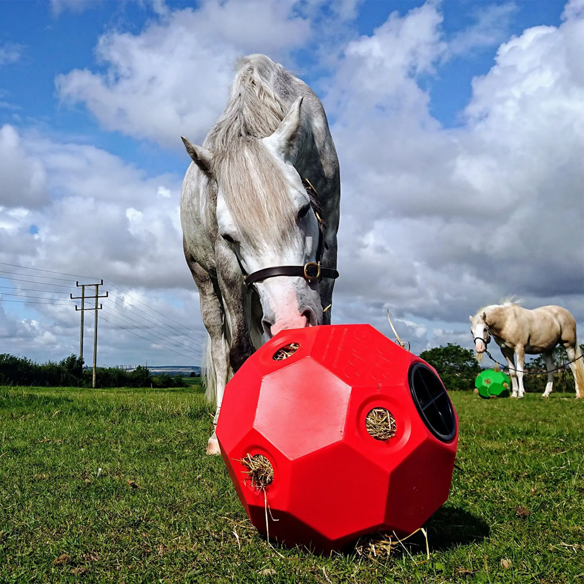 Urallax Parallax Hay Play Ball Feeder - Red