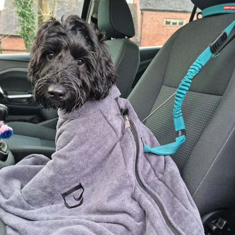 Pawdaw of London Luxury Dog Drying Bag - Grey-2