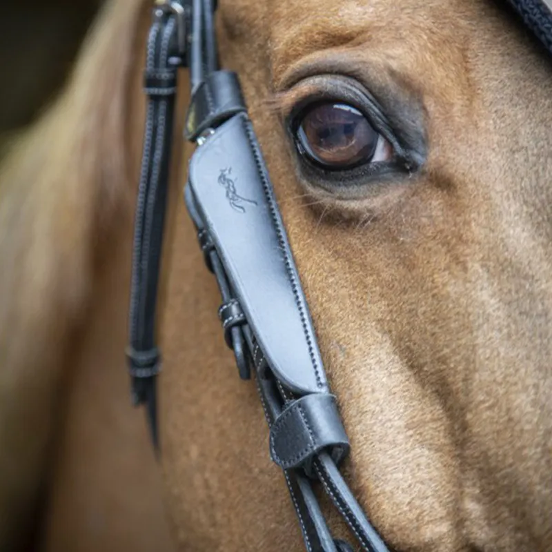 Penelope Leprevost Australian Bridle Blinkers - Black