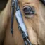 Penelope Leprevost Australian Bridle Blinkers - Black