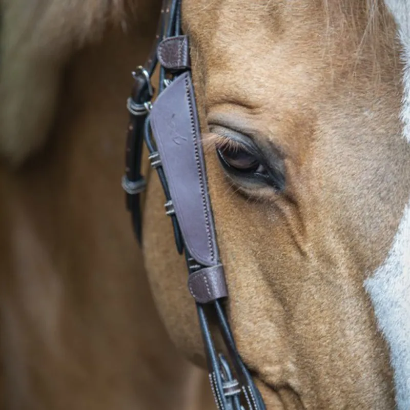 Penelope Leprevost Australian Bridle Blinkers - Havana-2