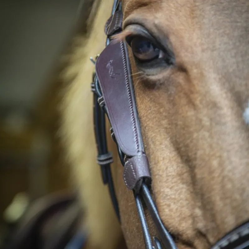 Penelope Leprevost Australian Bridle Blinkers - Havana-1