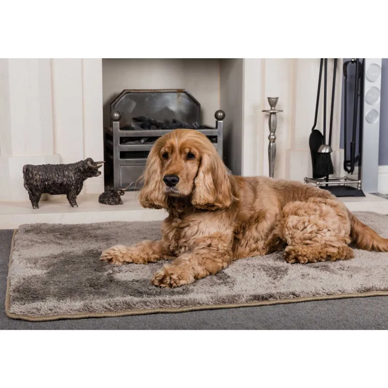 Pet Rebellion Big Softie Dog Rug - Taupe-1