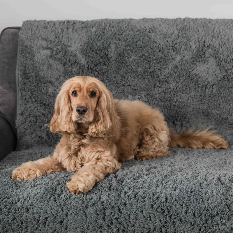 Pet Rebellion Comfy Cover Sofa Protection Dog Blanket Grey