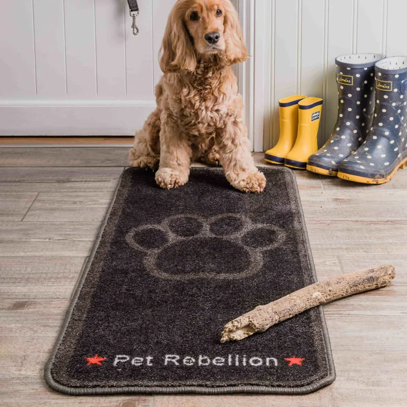 Stop Muddy Paws Rug