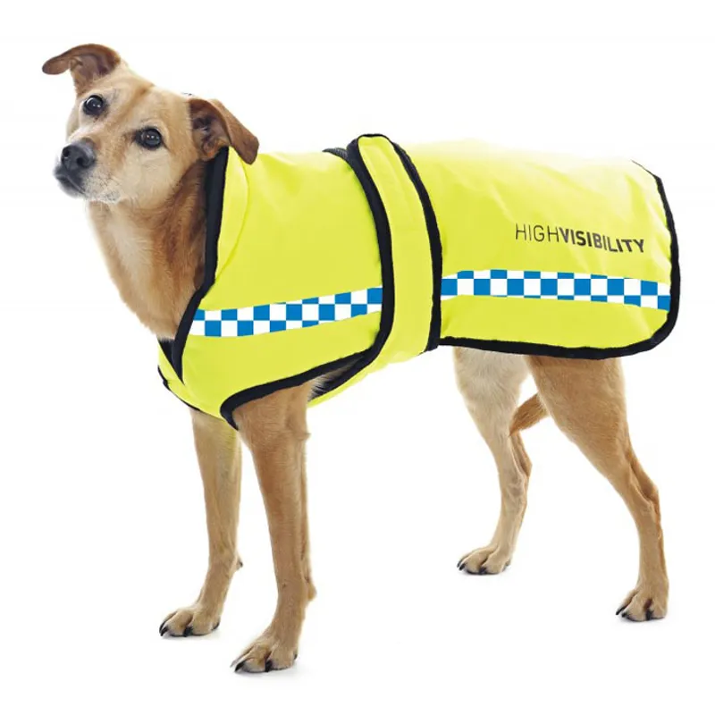 yellow and burgundy dog coat