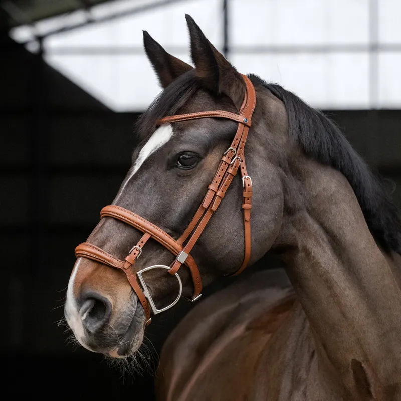 Stubben Pro-Jump Tandem 2700 Bridle - Tobacco-2