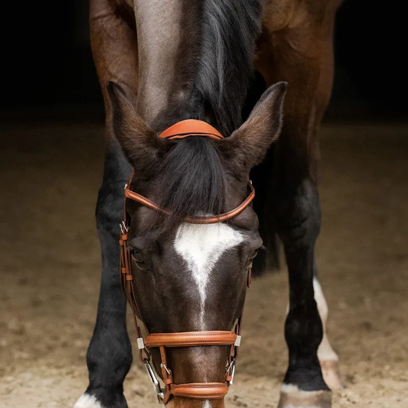 Stubben Pro-Jump Tandem 2700 Bridle - Tobacco-4