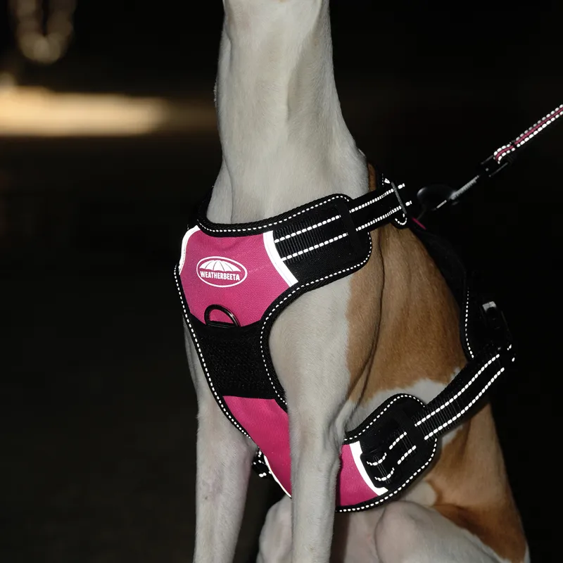 WeatherBeeta Anti-Pull/Travel Dog Harness - Black/Pink-4