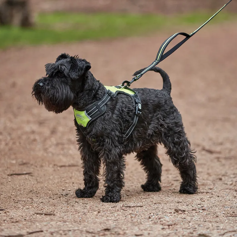 WeatherBeeta Anti-Pull/Travel Dog Harness - Black/Yellow-2