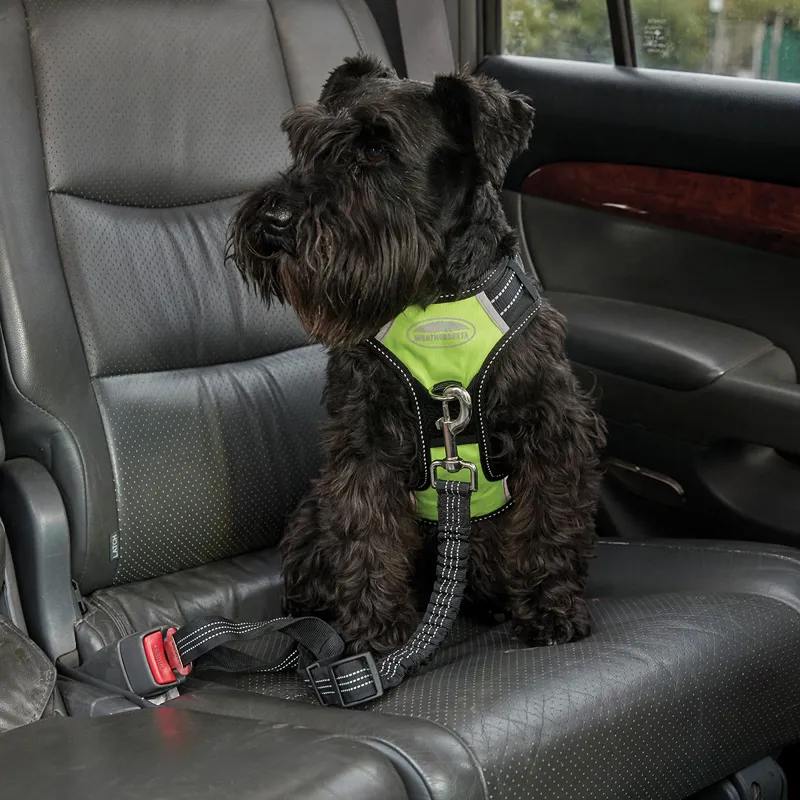 WeatherBeeta Anti-Pull/Travel Dog Harness - Black/Yellow-3