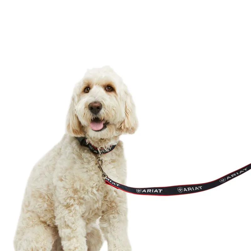 Ariat Dog Lead - Team Navy-1