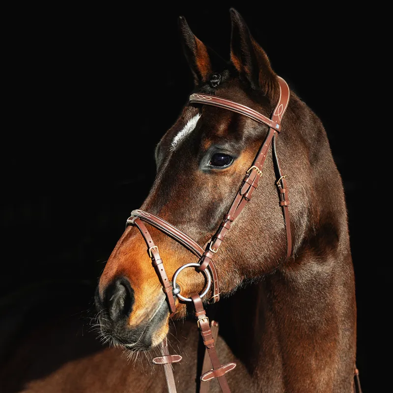 Horze Constance Padded Flash Bridle - Brown