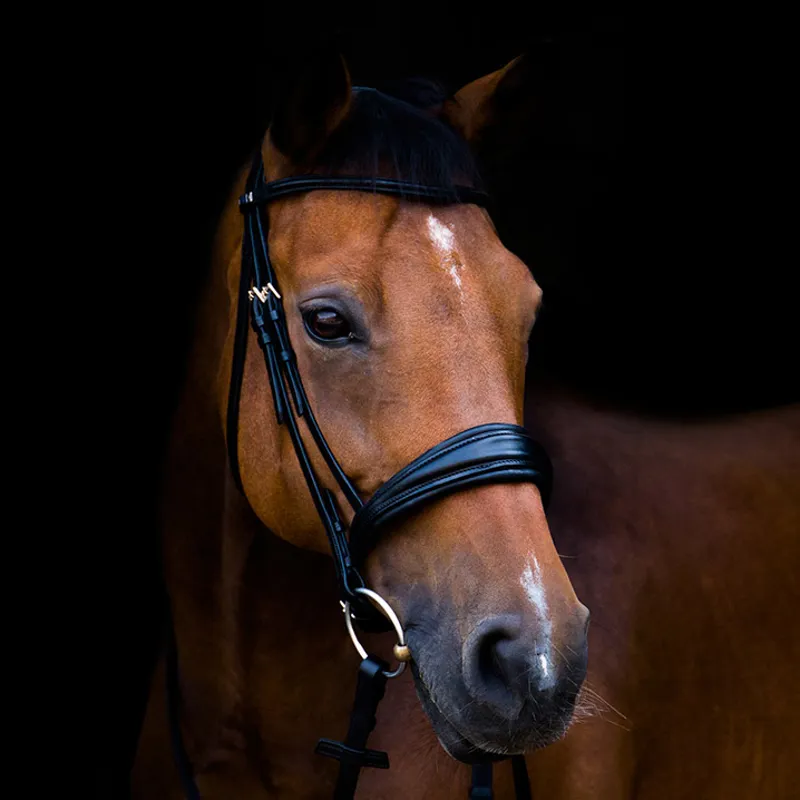 Stubben Clare 2 in 1 Bridle with Removable Flash - Black-2