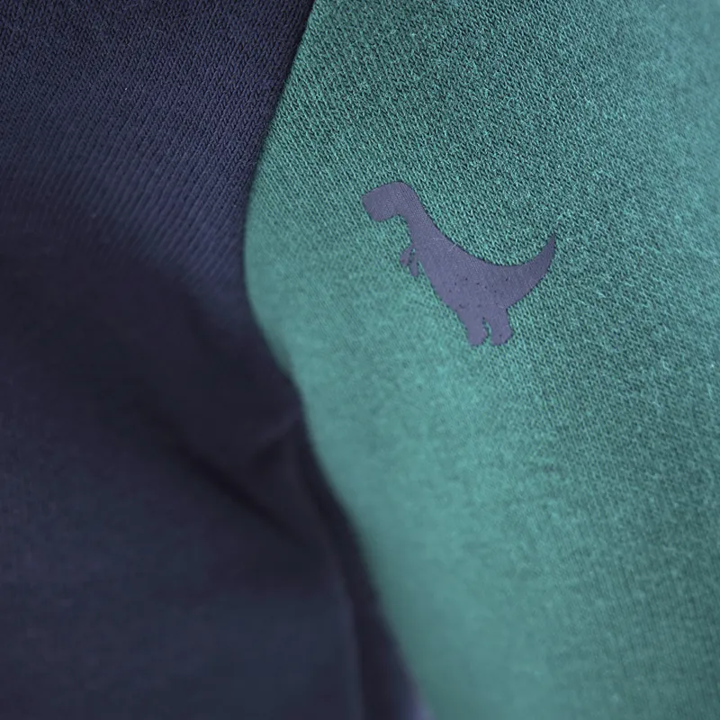 Tikaboo Junior Crew Neck Sweatshirt - Dinosaur-3