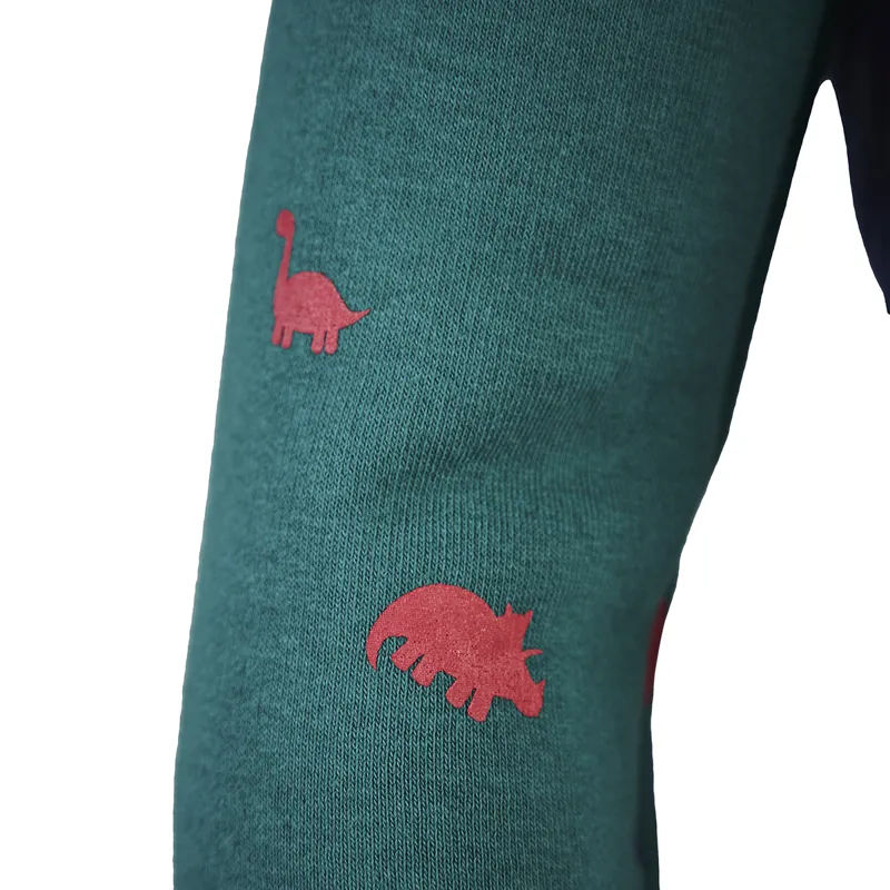 Tikaboo Junior Crew Neck Sweatshirt - Dinosaur-5