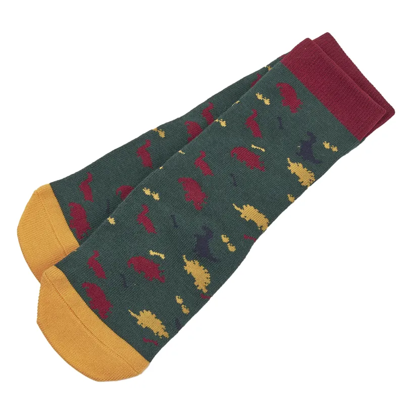 Tikaboo Junior Socks - Dinosaur