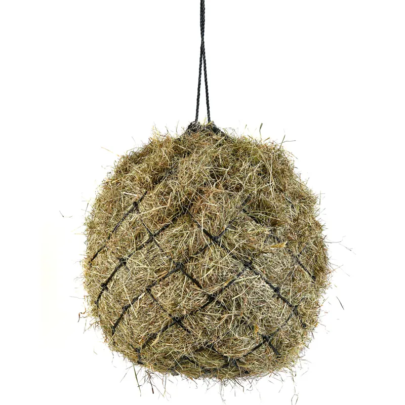 Shires Large Hole 42in Haynet - Black