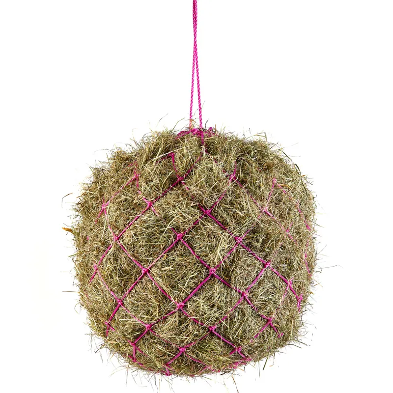 Shires Large Hole 42in Haynet - Pink