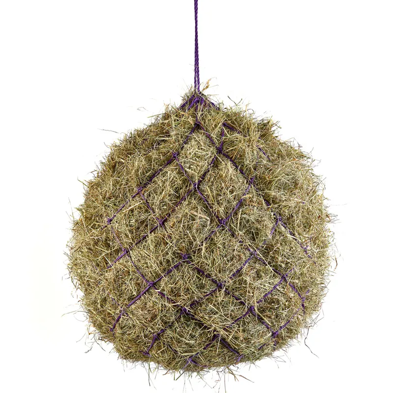 Shires Large Hole 42in Haynet - Purple