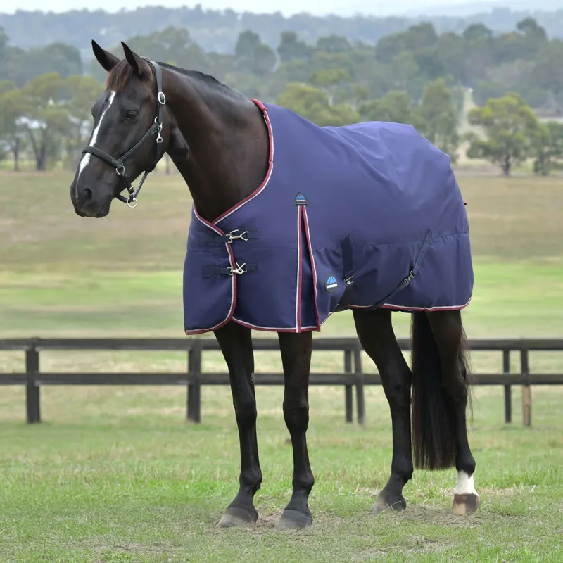 WeatherBeeta ComFiTec Essential 100g Turnout Rug - Navy/Burgundy-1