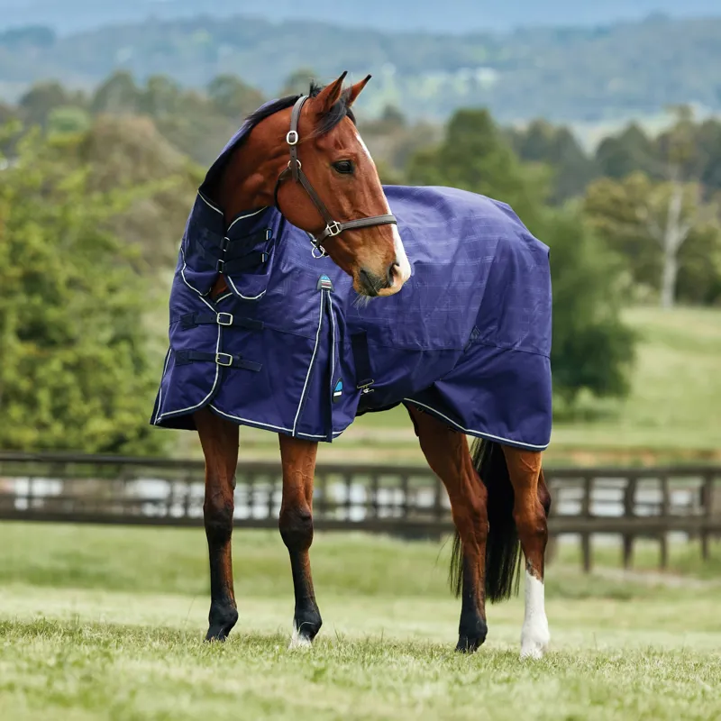 WeatherBeeta ComFiTec Prelim 100g Combo Turnout Rug - Navy Plaid-4