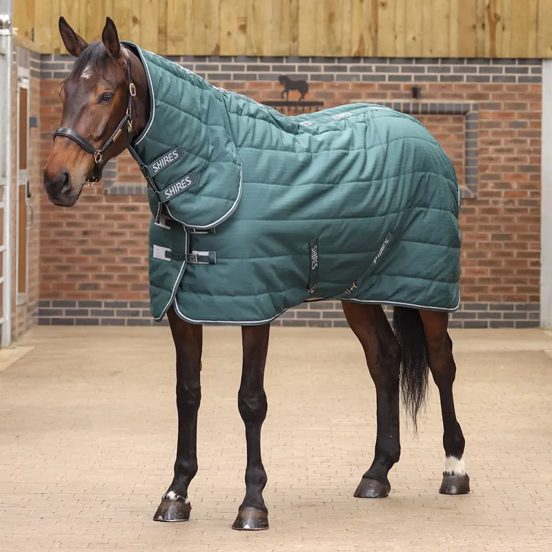 Shires Tempest Original 600D 200 Combo Neck Stable Rug - Emerald