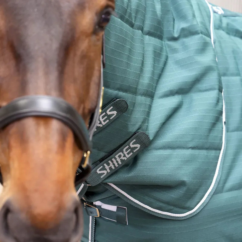 Shires Tempest Original 600D 200 Detach-A-Neck Stable Rug - Emerald-9