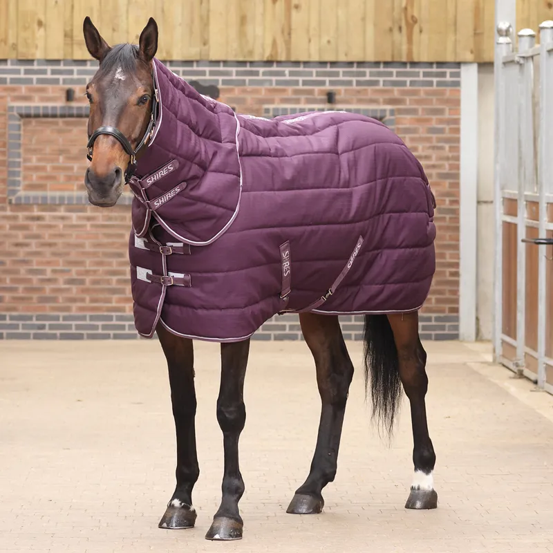 Shires Tempest Original 600D 300 Detach-A-Neck Stable Rug - Burgundy