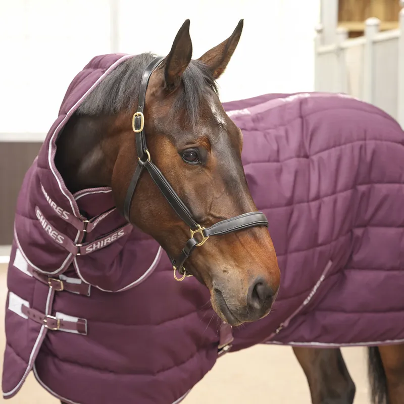 Shires Tempest Original 600D 300 Detach-A-Neck Stable Rug - Burgundy-7