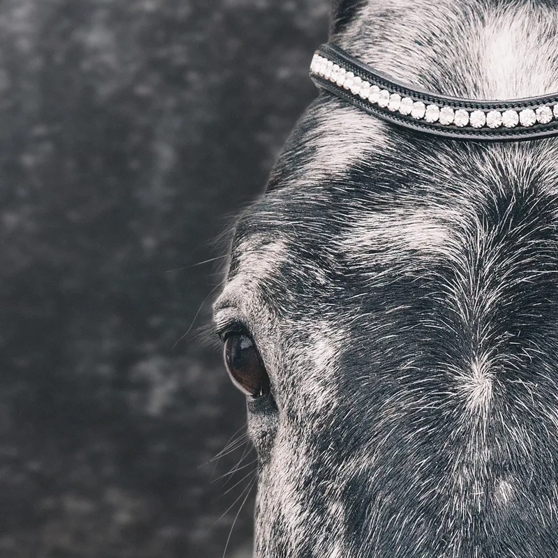 Schockemohle Equitus Beta Anatomic Bridle - Black/Silver-2