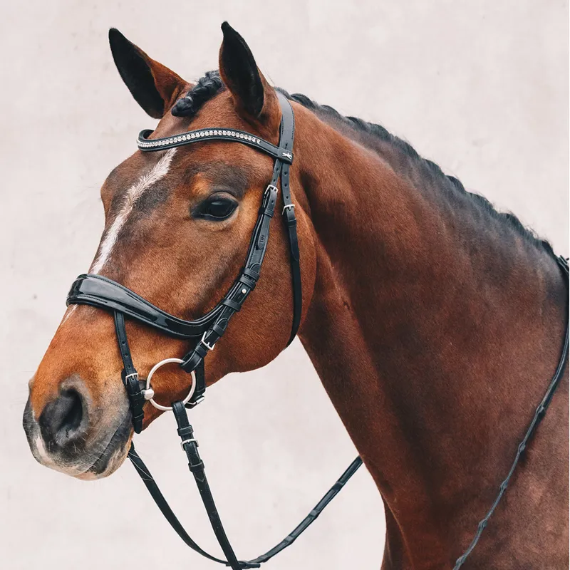Schockemohle Equitus Beta Anatomic Bridle - Patent Black/Silver-4