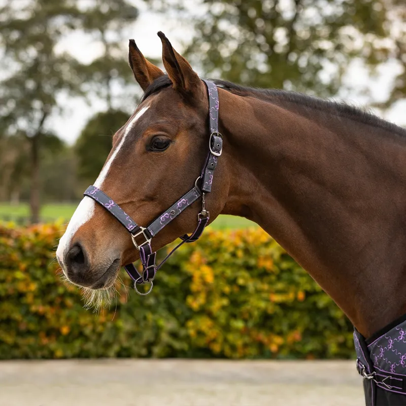 QHP Collection Headcollar and Lead Rope Set - Bouncing Bows-1