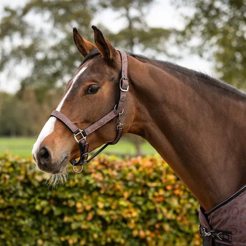 QHP Collection Headcollar and Lead Rope Set - Whispering Woods-1