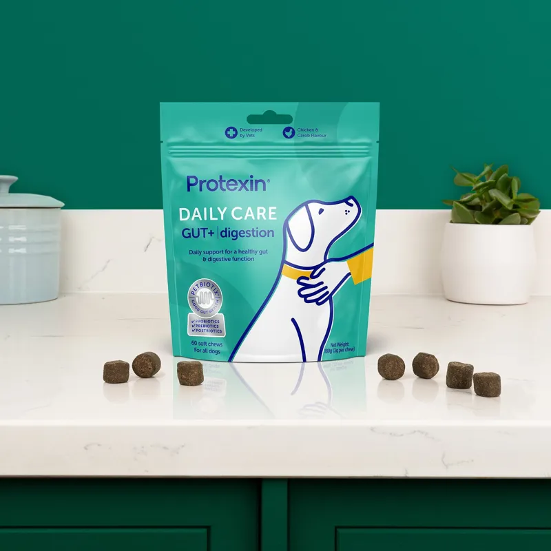 Protexin Daily Care GUT+ Dog Digestion Supplement-3