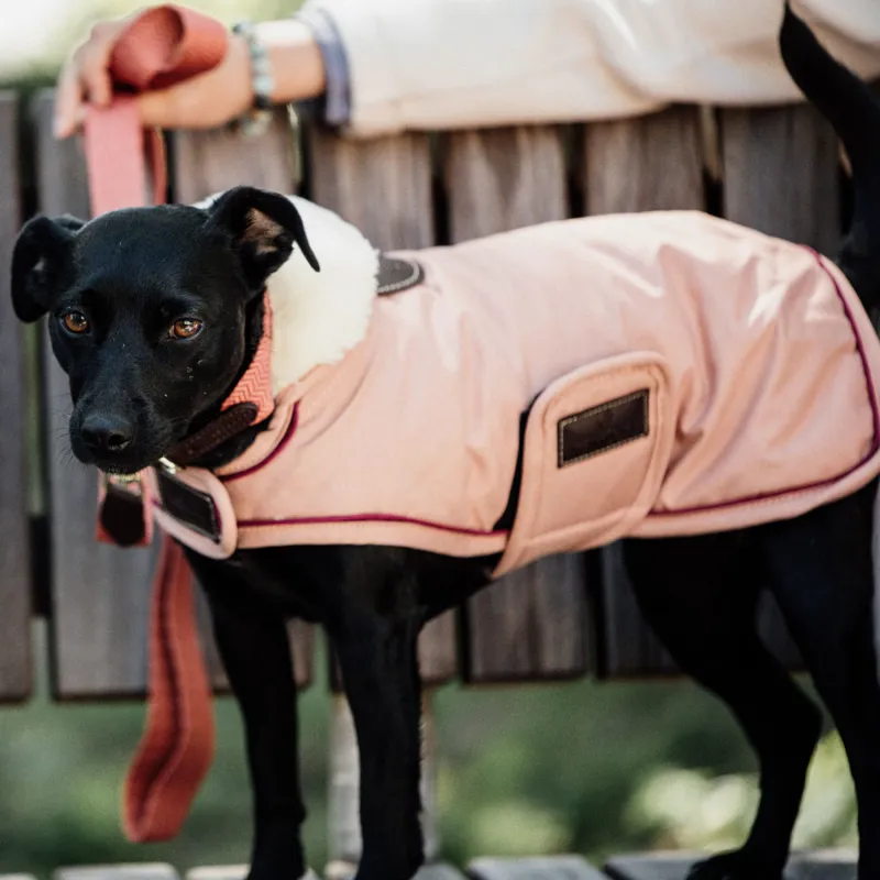 Kentucky Waterproof 160g Dog Coat - Coral-3