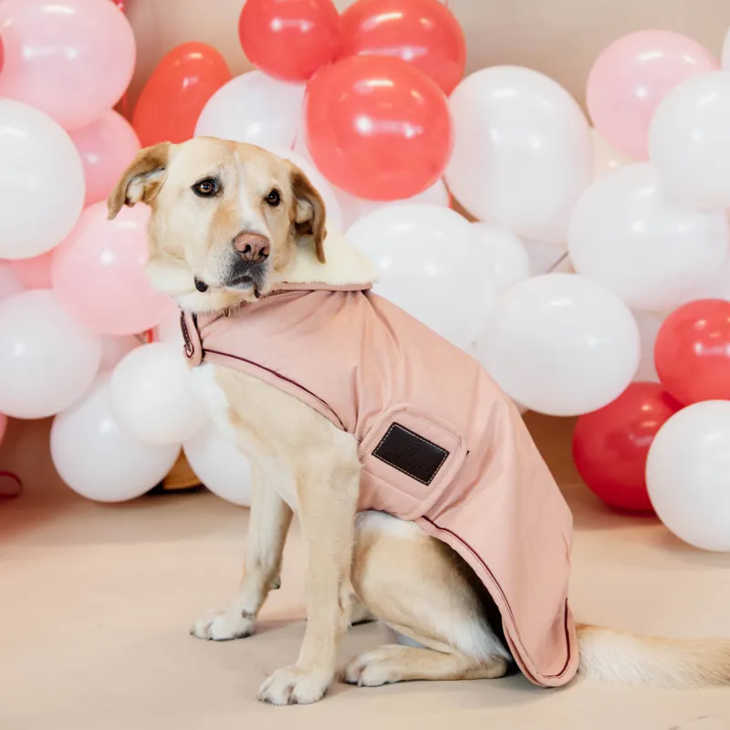 Kentucky Waterproof 160g Dog Coat - Coral-7