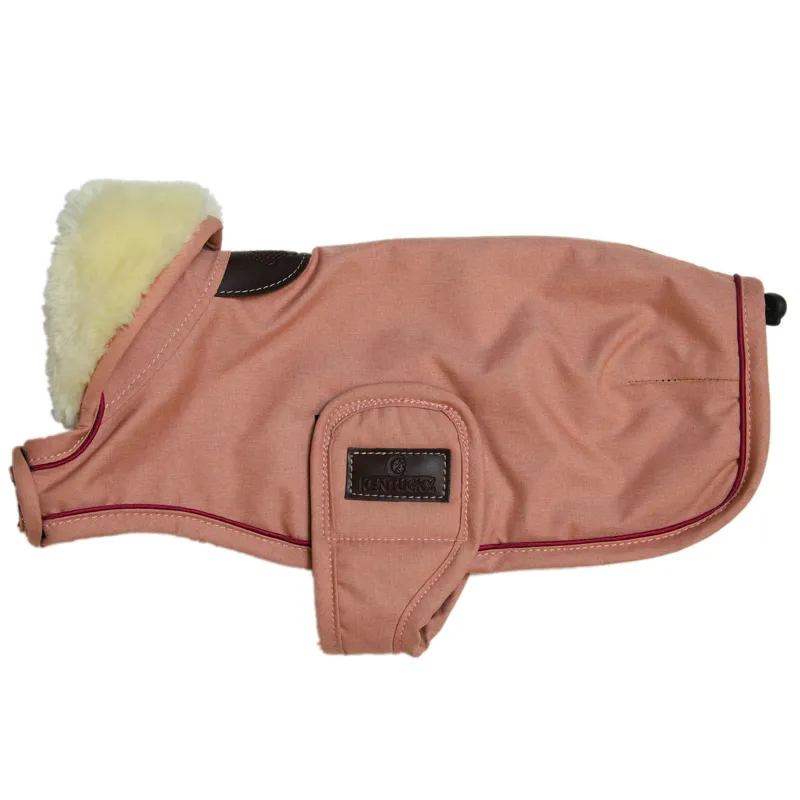 Kentucky Waterproof 160g Dog Coat - Coral-8