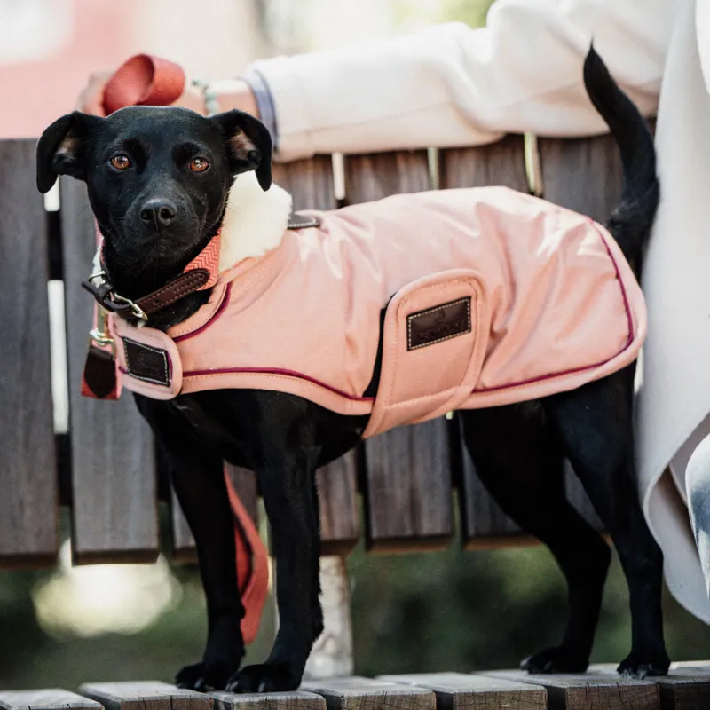 Kentucky Waterproof 160g Dog Coat - Coral