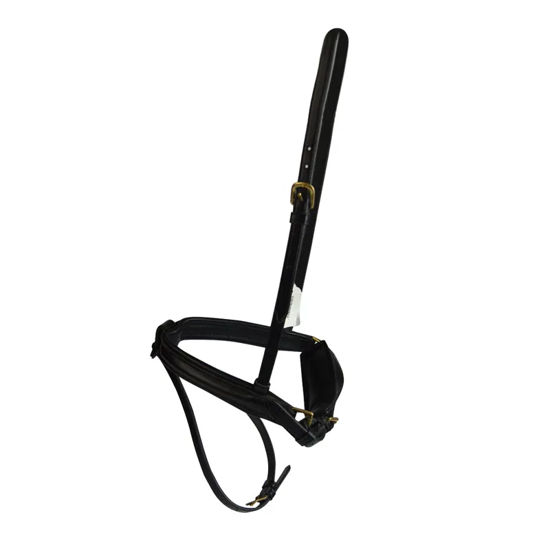 Stephens Drawtite Padded Flash Noseband with Chinpad - Black/Brass