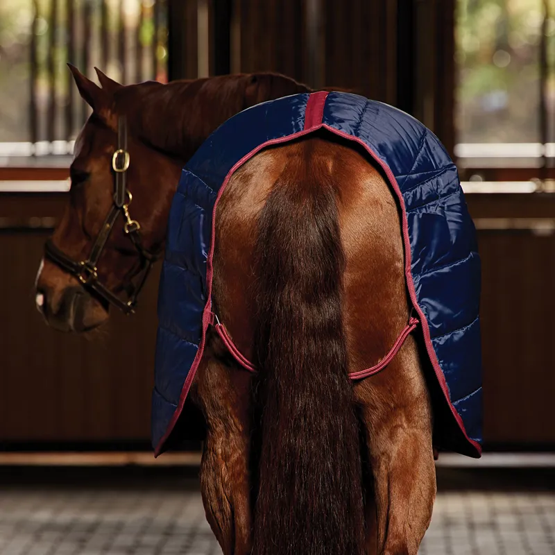 WeatherBeeta ComFiTec 210D Channel Quilt 100g Stable Rug - Navy-2