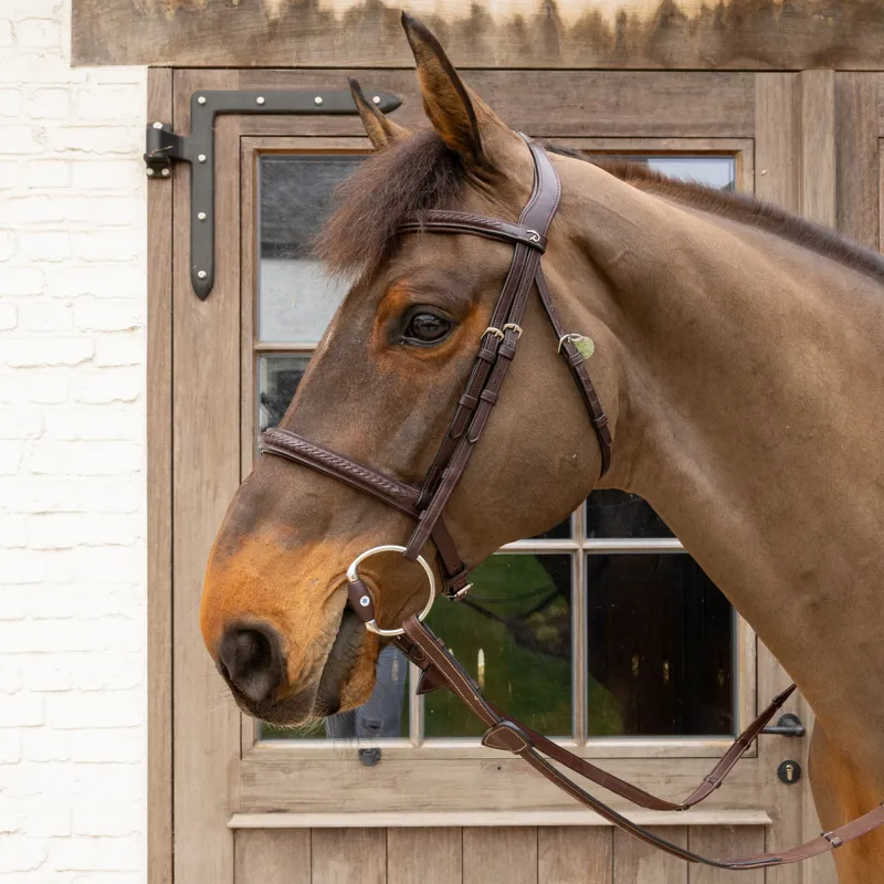 Velari Mullen Mouth Hard Flex Eggbutt Snaffle Bit-1