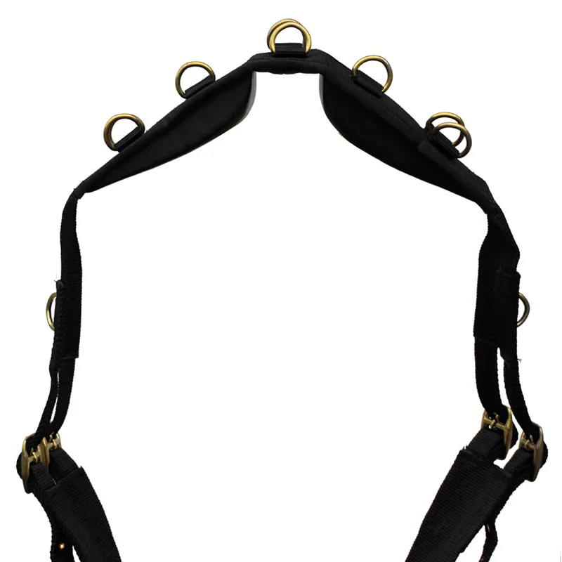 Windsor Nylon Lunge Roller - Black