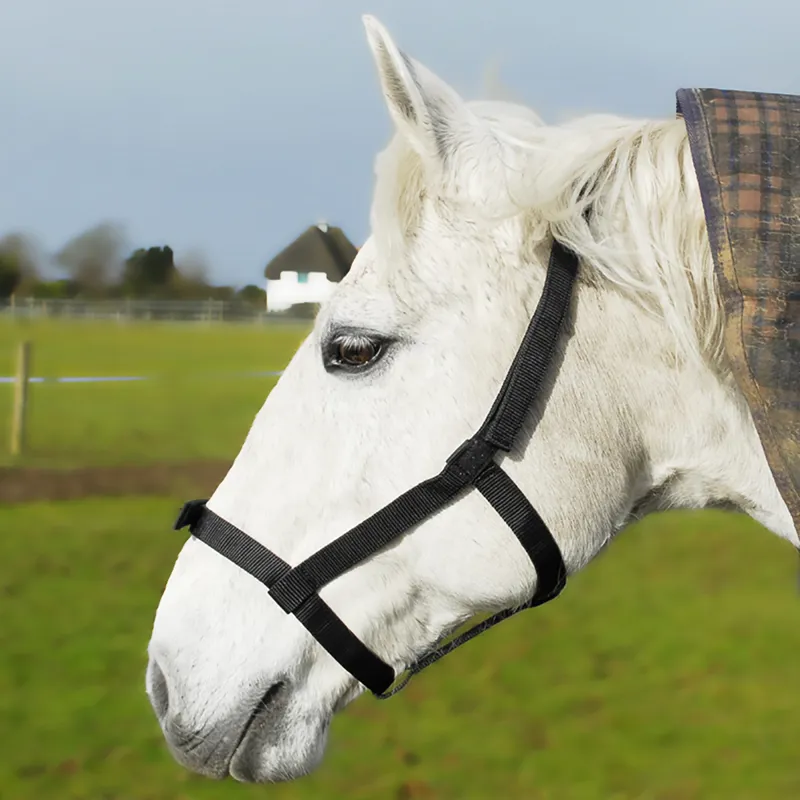 Rhinegold Field Safe Nylon Headcollar - Black